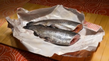 ausgenommene Forellen