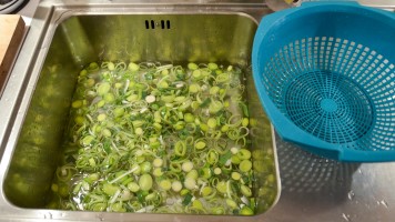 Lauch in Spüle